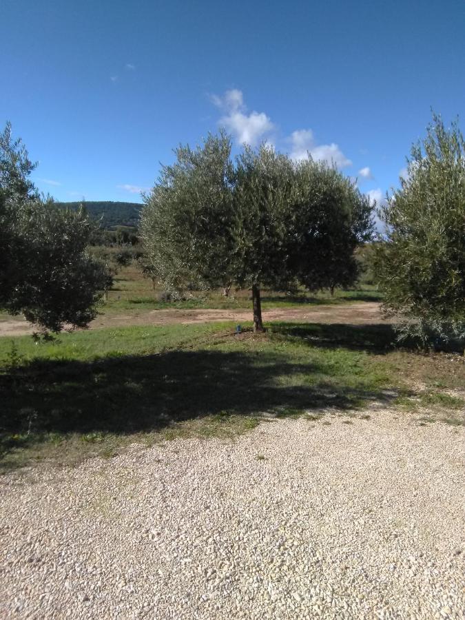 Vacances Vaison La Romaine 외부 사진